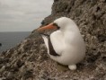/album/fotogaleria/macondo-malpelo-085-jpg/